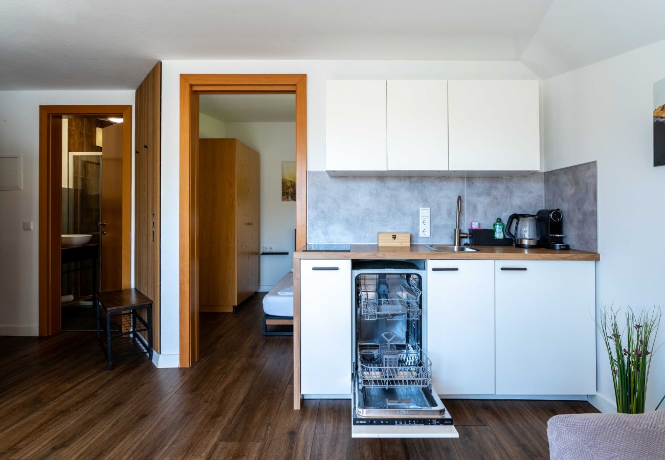Apartment in Piesendorf - Maiskogelblick - TOP 14