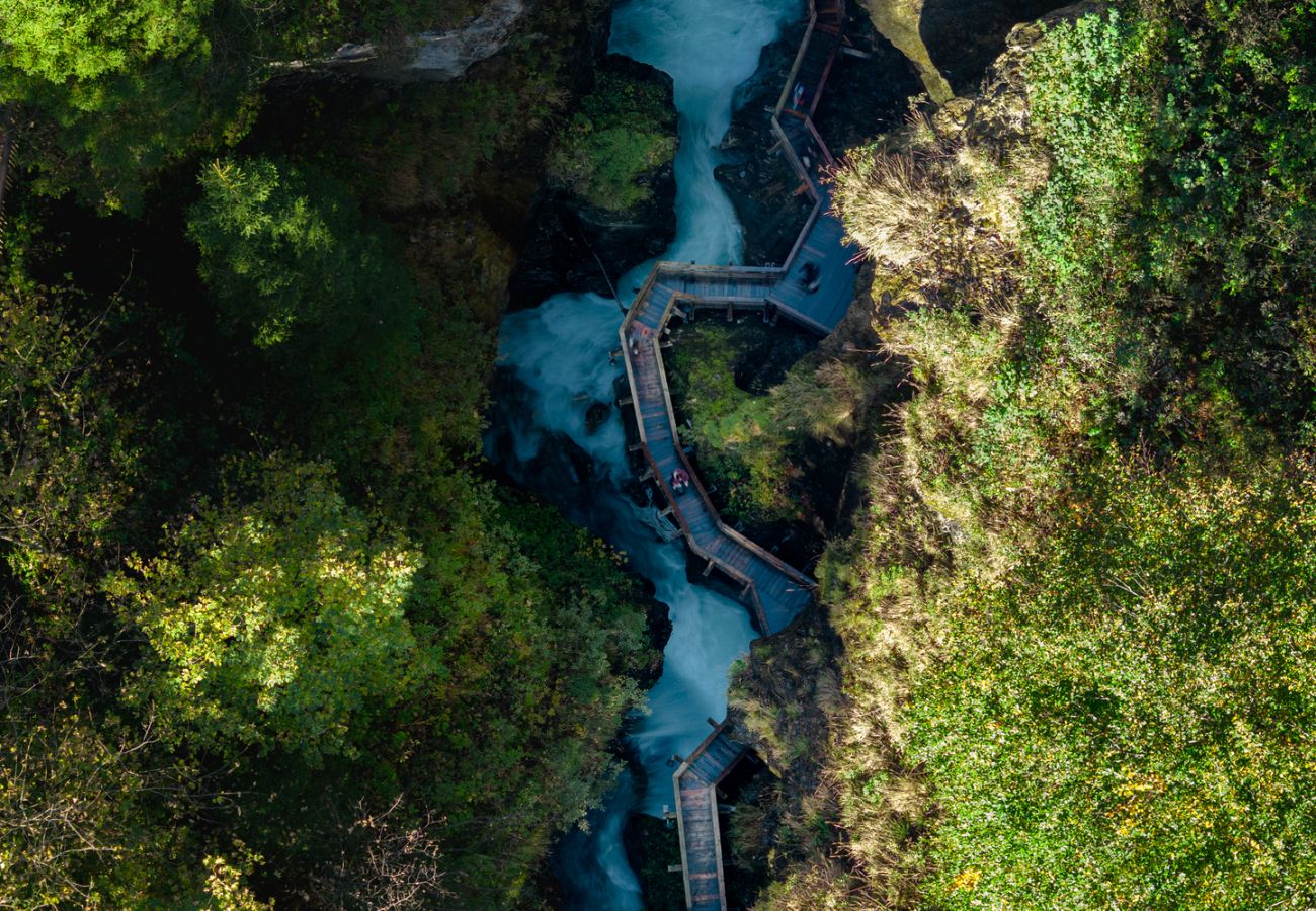 Apartment in Piesendorf - Maiskogelblick - TOP 4