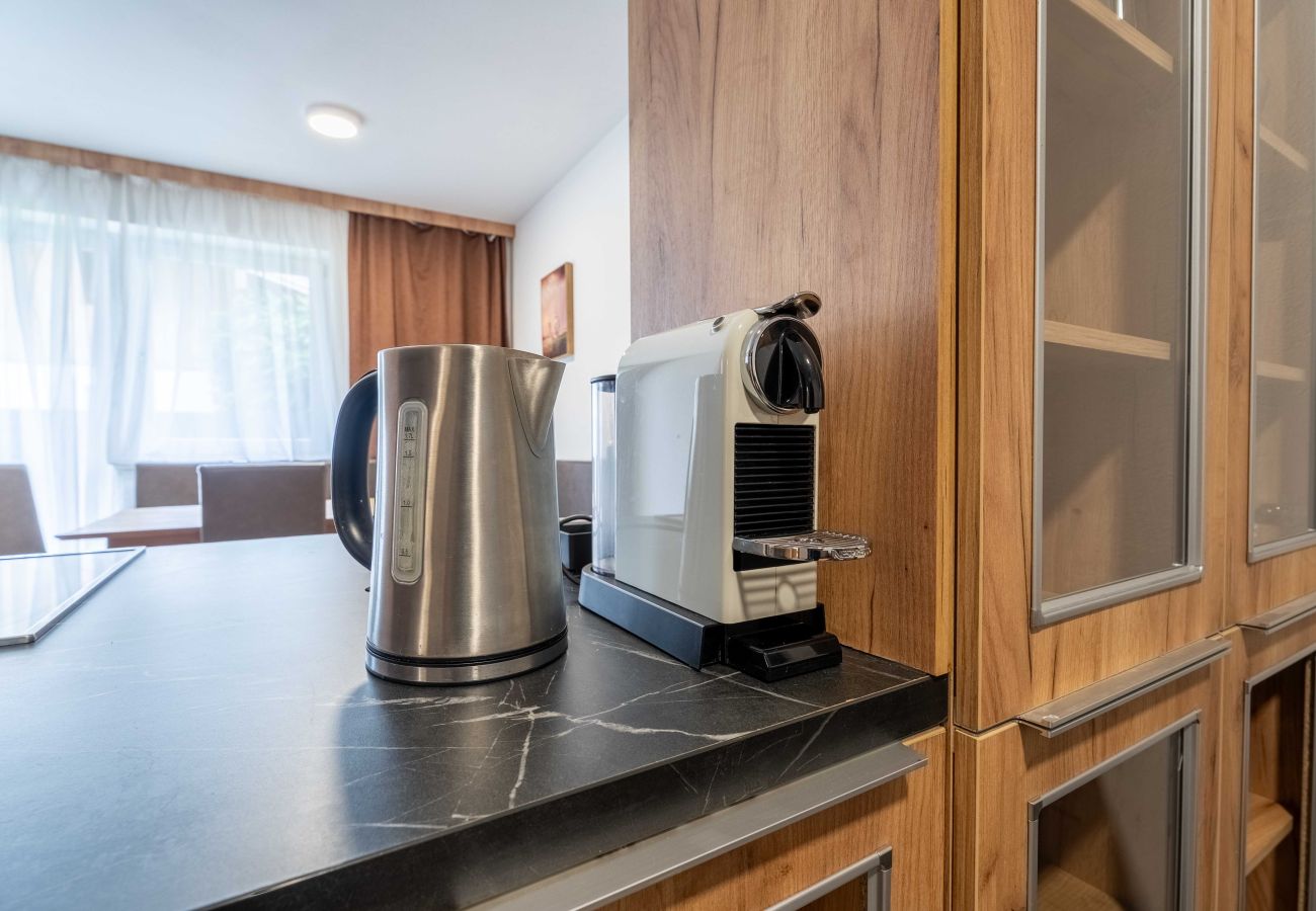 Apartment in Piesendorf - Maiskogelblick - TOP 5